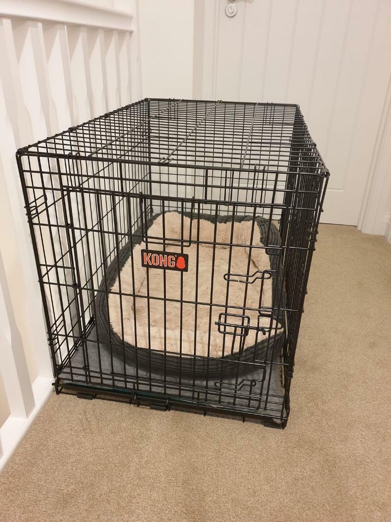 best dog stroller for running